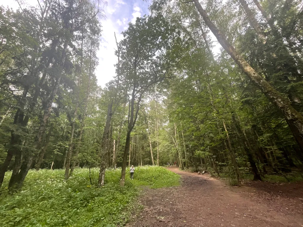 Студия для одного рядом со Сколково