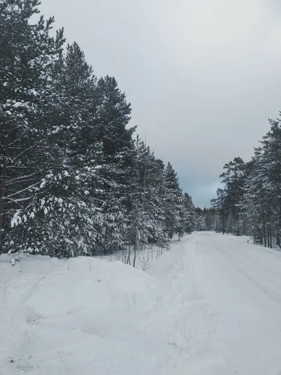 Квартира с видом на лес и реку