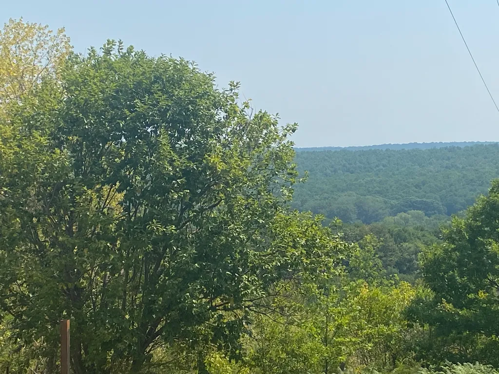 Коттедж Коттедж Дача с банькой в живописном лесу — Горячий Ключ