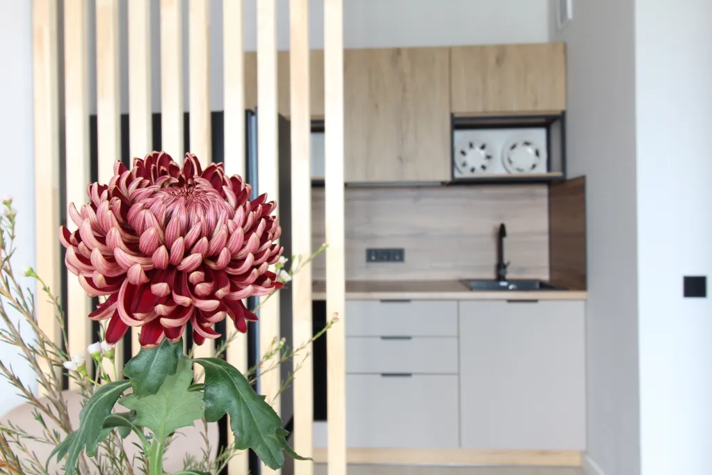 Доброе утро в Венеции