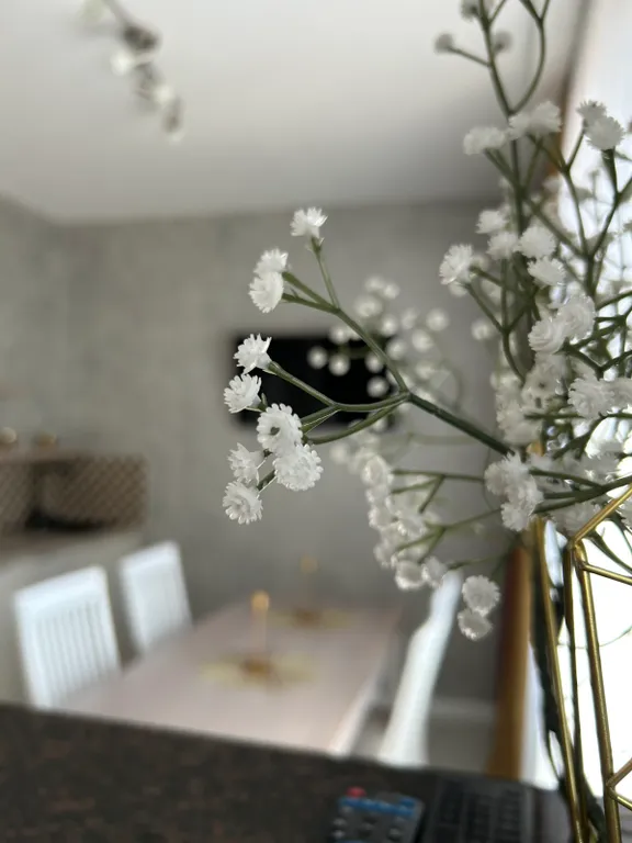 Прекрасная квартира,через дорогу пляж — аренда посуточно в Брест