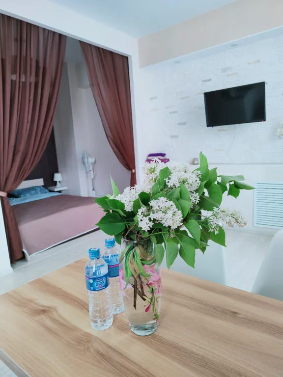 Квартира в центре города с видом на озеро — аренда посуточно в Петрозаводск