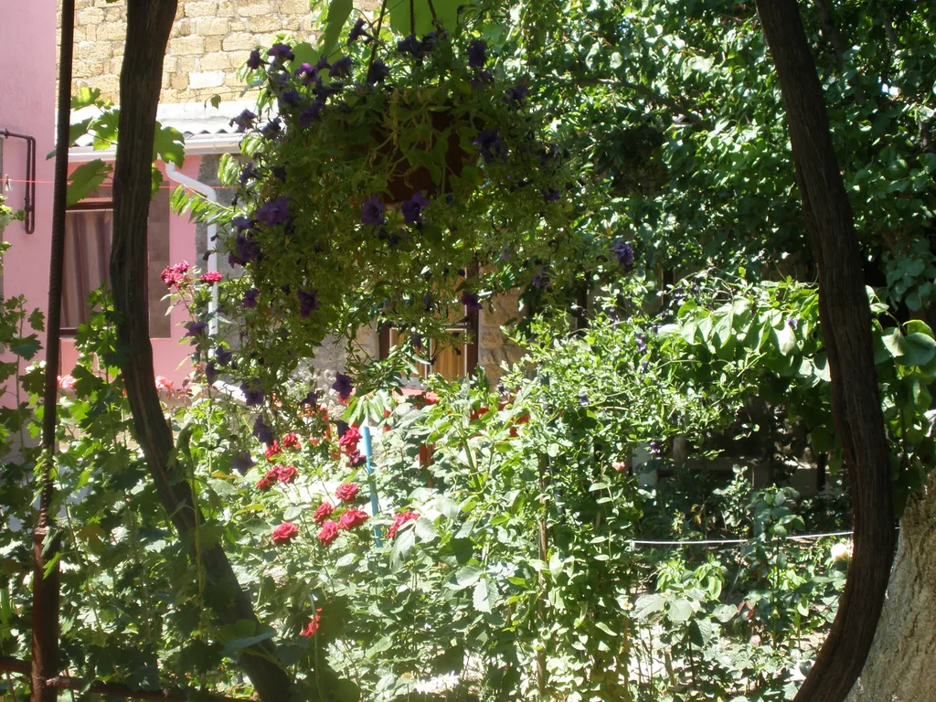 Счастливый дворик