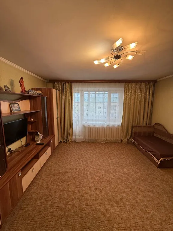 Уютная однокомнатная квартира в центре города