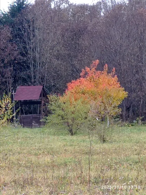 Коттедж Домик хоббита — Синковицы