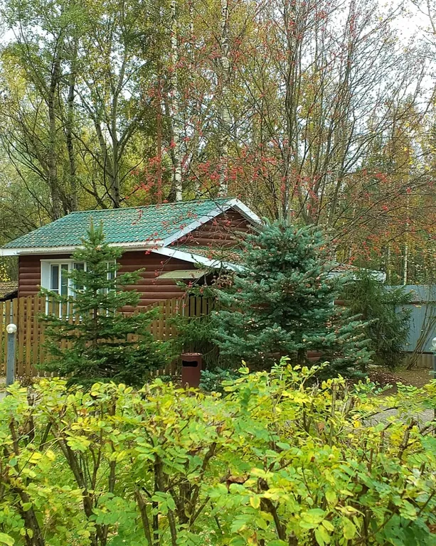 Гриль-домик летний