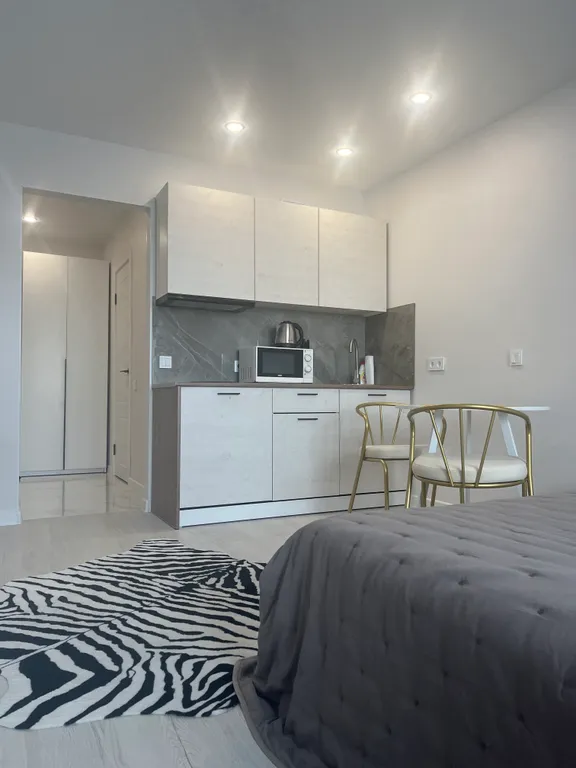 Чудесная студия с кондиционером