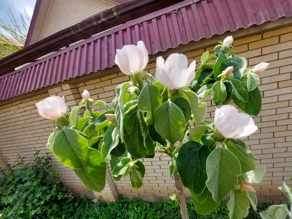 Коттедж Домик у моря — Махачкала