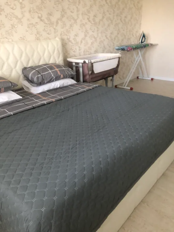 Просторная в центре, аэропорт 5 мин машиной, прекрасный вид на гору