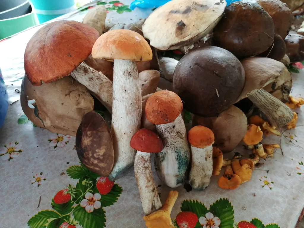 Дом с 2 спальнями на 4 гостя