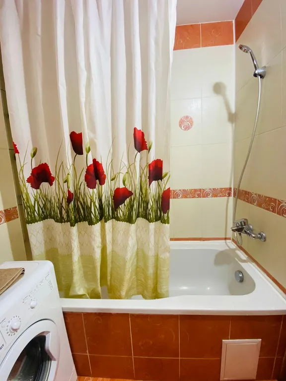 Квартира в центре столицы