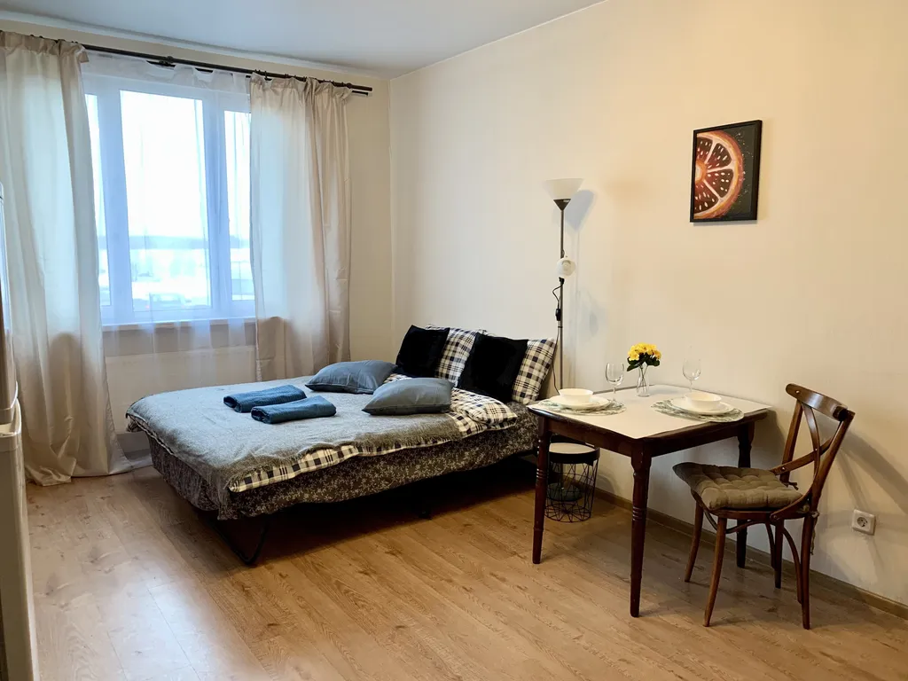 Квартира Студия близко Москва и Аэропорт Домодедово — аренда посуточно в Домодедово