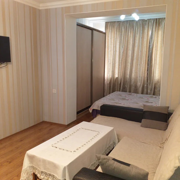 1-комнатная квартира в центре города