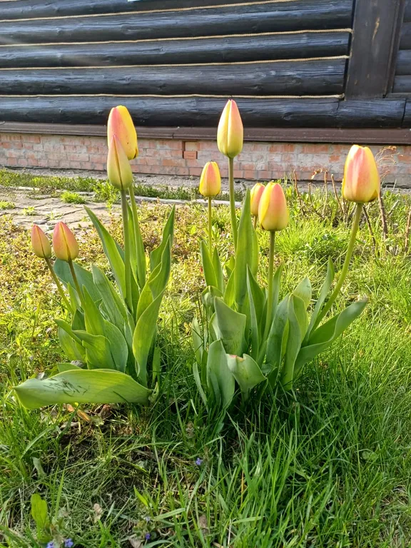 Гостевой Дом у Нерли