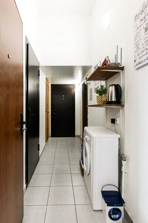 Студия рядом с зоопарком III