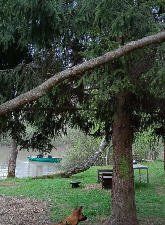 Чудо-дача, дом Акула на берегу пруда