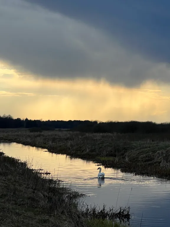 Агроусадьба Пралеска