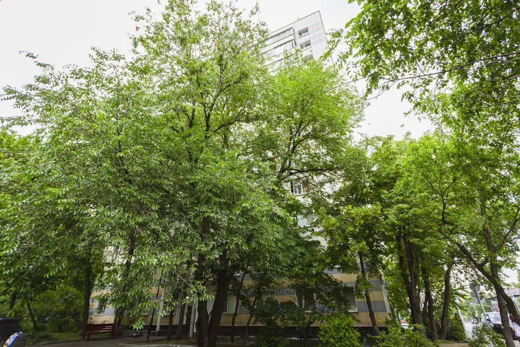 Квартира у Москва Сити