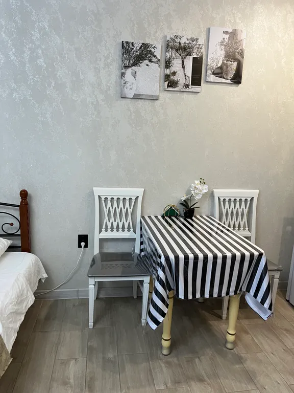 Уютная студия в центре города