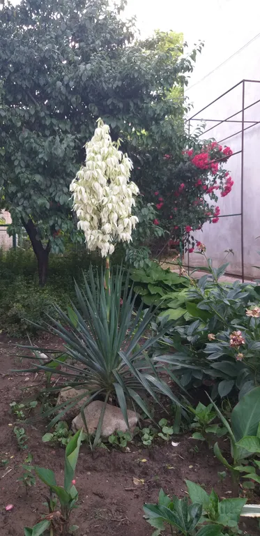 Уютный тихий дворик для желающих отдохнуть от шума городских улиц