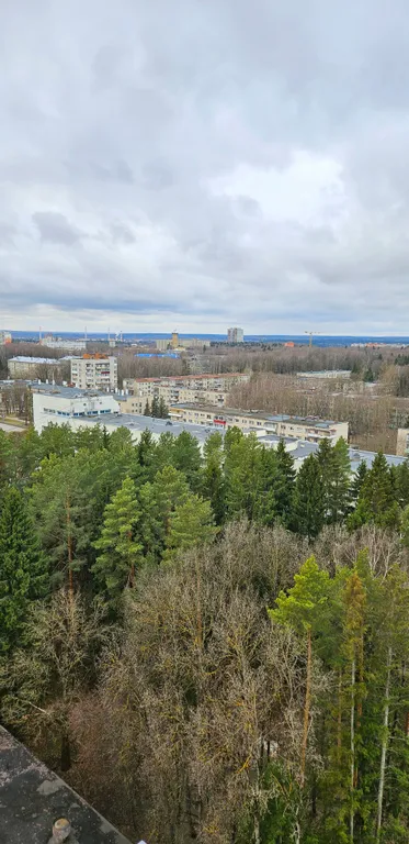 Евродвушка в микрорайоне Парковый