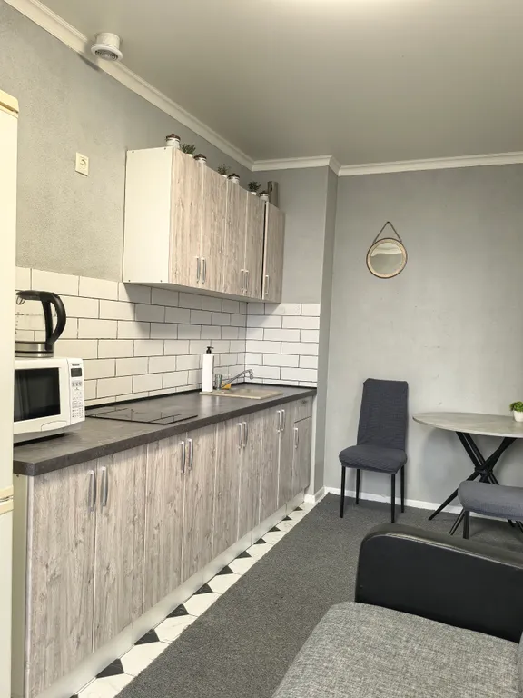 Однокомнатная квартира в Московском