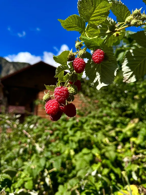 Домик с видом на горы