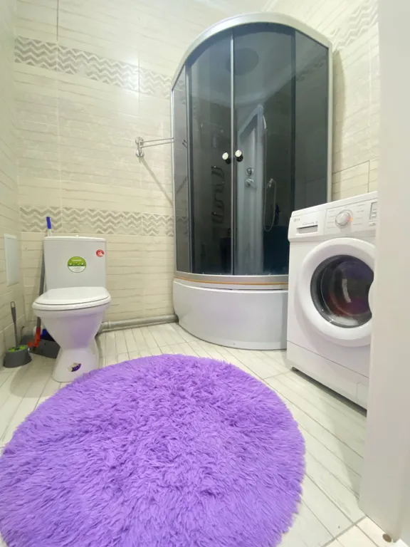 Однокомнатная квартира на Левом берегу