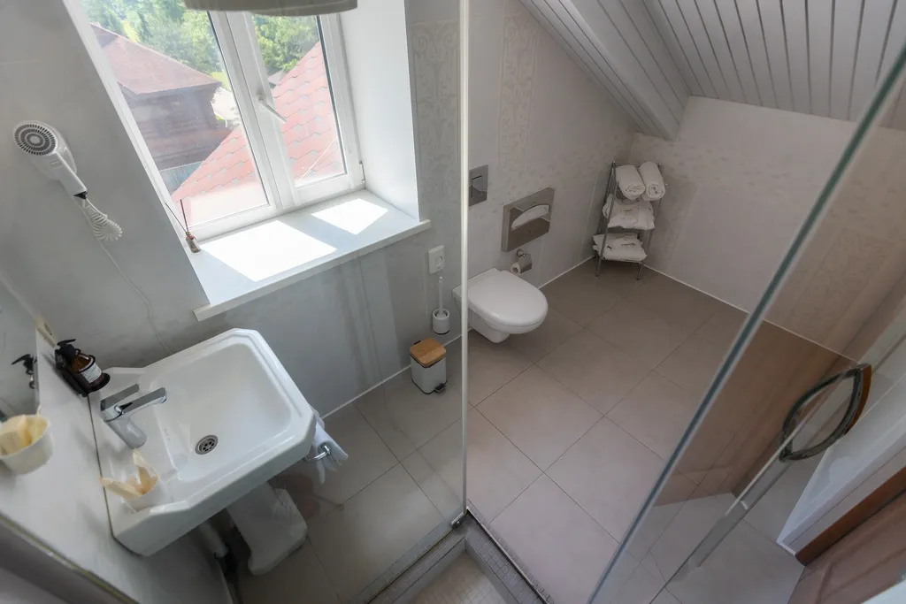 Люкс-мансарда № 5