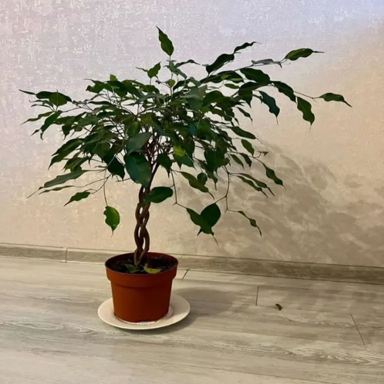 Уютная квартира в районе Горная