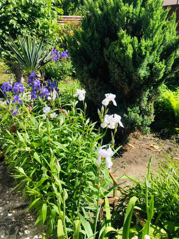 Коттедж Дом в классическом стиле — Кисловодск