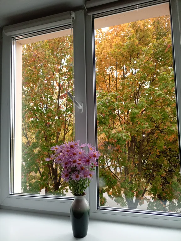 Ледовый дворец. Площадь герба и флага. Парк тысячелетия