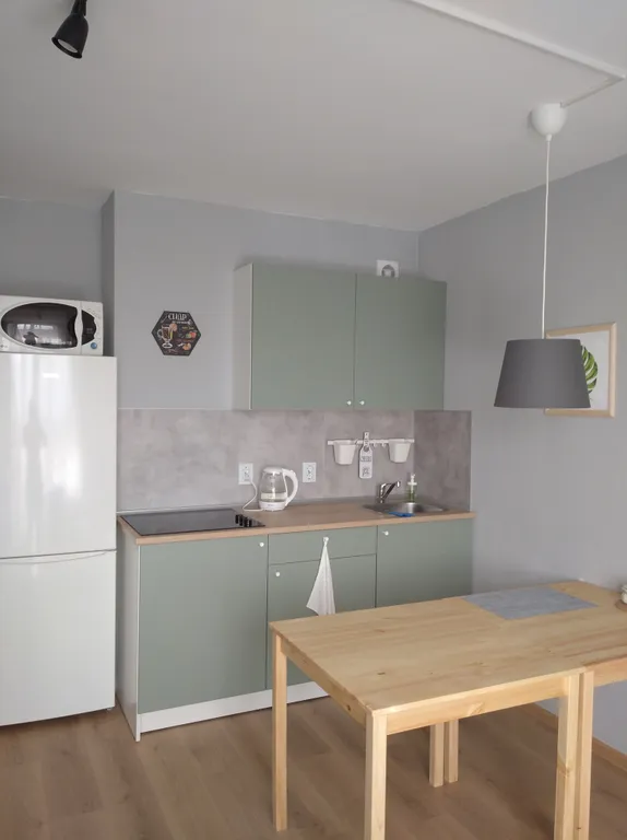 Квартира Квартира Уютная студия около НМИЦ имени Петрова — Песочный