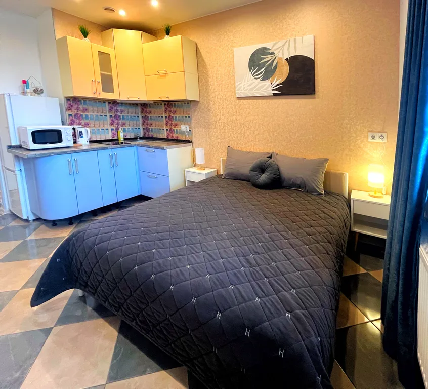 Квартира Уютная студия с красивым видом из окон — аренда посуточно в Жуковский