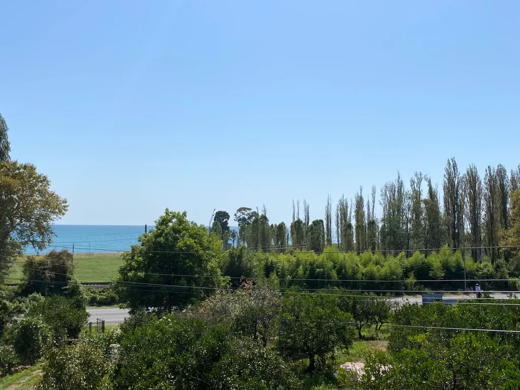 Отдых в Абхазии