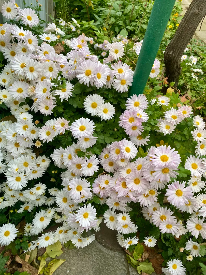Фото