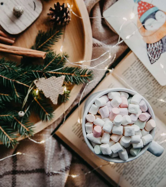 Квартира Апартаменты Hygge Karelia у набережной в новом ЖК — Петрозаводск