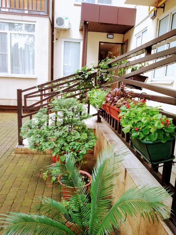 Квартира Просторная квартира у моря — Сириус