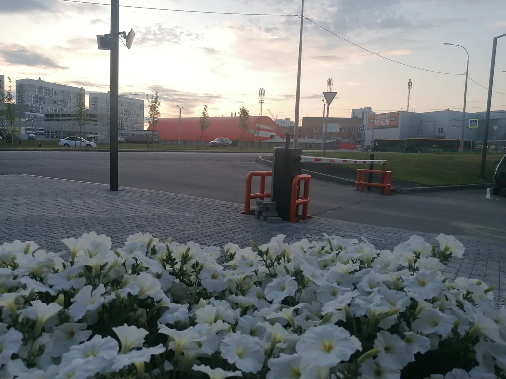 Просторная студия с видом на лес