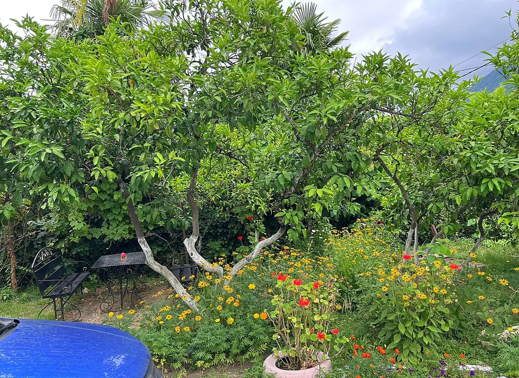 Просторный дом под ключ