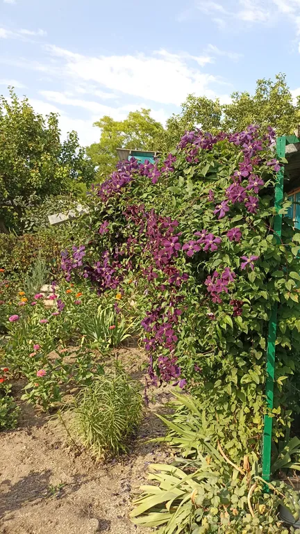 Дом для летнего отдыха