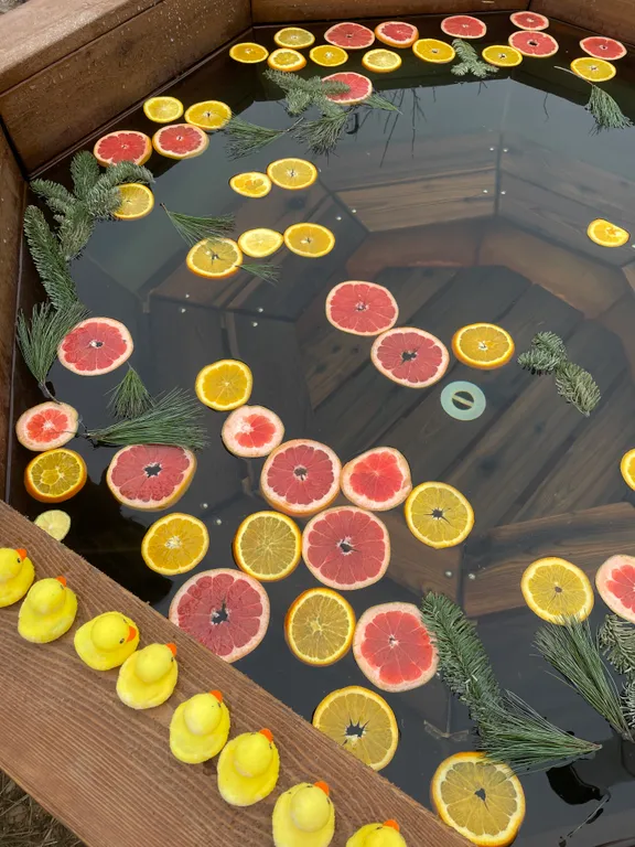 Зеркальный дом в аренду подмосковье