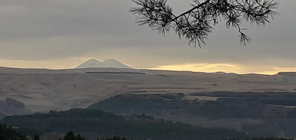 Квартира рядом с парком