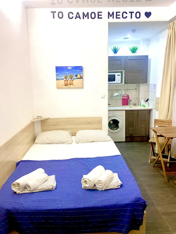 Квартира 1-комнатная Квартира — Сириус