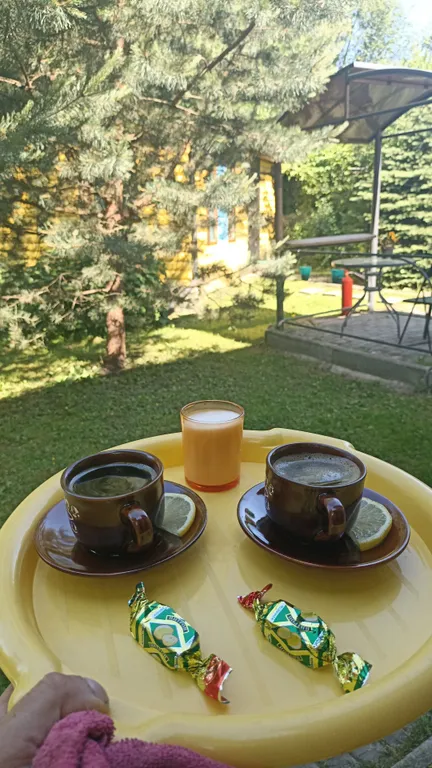 Коттедж Коттедж Курортное шале в писательском Переделкино — Москва