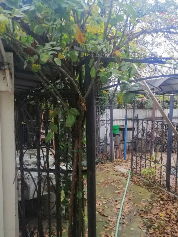 Коттедж Коттедж Уютная однокомнатная квартира в частном секторе — Пятигорск