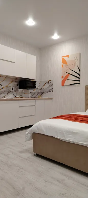 Стильная, уютная студия