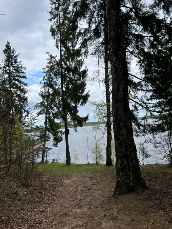 Дом на территории охотничьего хозяйства рядом с водохранилищем