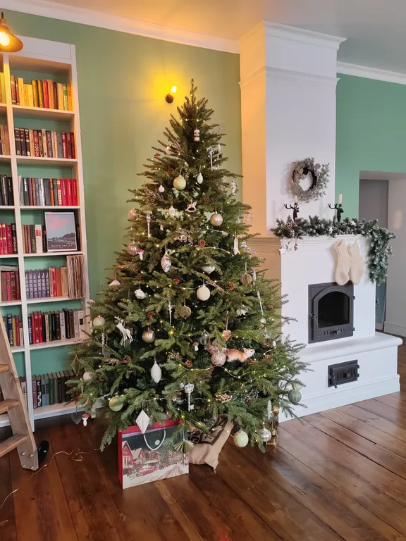 Квартира в доме Котоминых IXX век