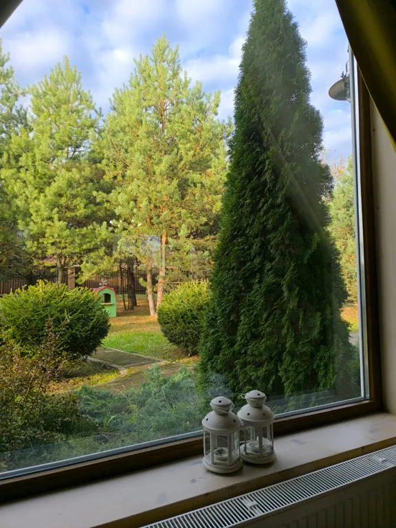 Дом рядом с лесом